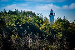 Long Island Head Light Tower Surrounded by Evergreens